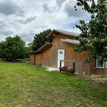 Maria'S Tiny Barn Guest House Homestead Exterior photo