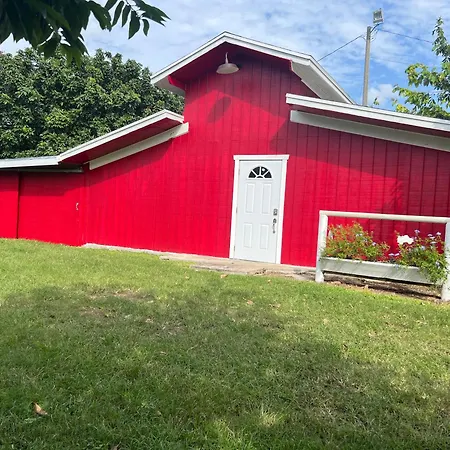 Maria'S Tiny Barn Guest House Homestead Exterior photo